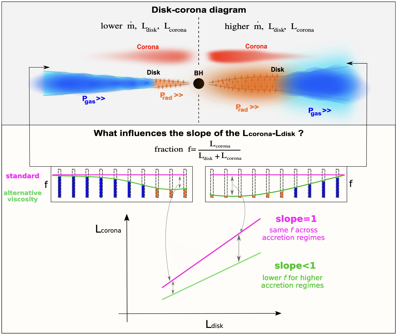 Model cartoon; Arcodia et al., (2019)