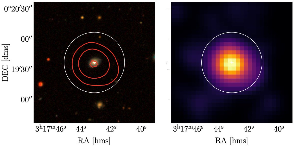 Optical and X-ray image of MBH; Arcodia et al., (2024)